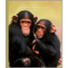 Chimpanzees by Sophie Lockwood