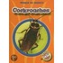 Cockroaches