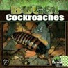 Cockroaches by Kristin Petrie