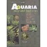Aquaria decoratief beplanten