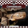 Copperheads door Megan M. Gunderson
