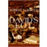 David's Lot