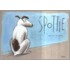 Spottie