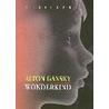 Wonderkind door A. Gansky