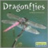 Dragonflies