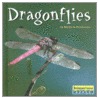 Dragonflies by Deirdre A. Prischmann