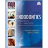 Endodontics door Richard E. Walton
