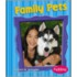 Family Pets