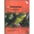 De Catharina parkieten