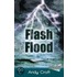 Flash Flood