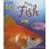 Flashy Fish