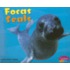 Focas/Seals