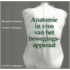 Anatomie in vivo van het bewegingsapparaat