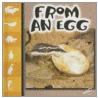 From an Egg door Ray James