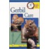Gerbil Care