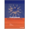 Praktijkboek Werken in het buitenland