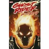 Ghost Rider door Roy Thomas