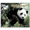 Giant Panda by Edana Eckart