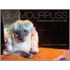 Glamourpuss