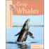 Gray Whales