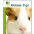 Guinea Pigs