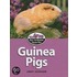 Guinea Pigs