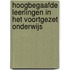 Hoogbegaafde leerlingen in het Voortgezet Onderwijs