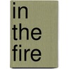 In The Fire door Lee Lozowick