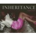 Inheritance