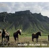 Island 2011 door Onbekend