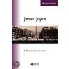 James Joyce door Professor Michael Seidel