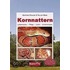 Kornnattern