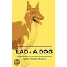 Lad - A Dog door Russell Sturgis