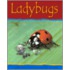 Ladybugs-pb