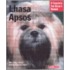 Lhasa Apsos