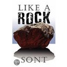 Like A Rock door Sont