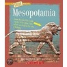 Mesopotamia by Sunita Apte