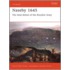 Naseby 1645