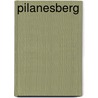 Pilanesberg door Onbekend