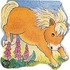 Pocket Pony