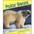 Polar Bears
