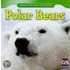 Polar Bears