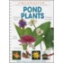 Pond Plants