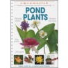 Pond Plants by Philip Swindells