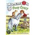 Pony Scouts