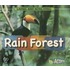 Rain Forest
