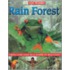 Rain Forest