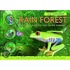 Rain Forest