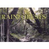 Rainforests door Patrick Hook