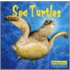 Sea Turtles